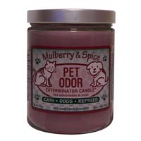 Pet Odor Exterminator 13oz Jar Candle - Mulberry & Spice